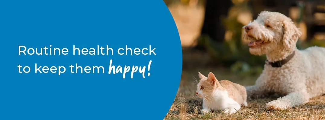 Pet Health Check in Essex | Preventative Vet Care