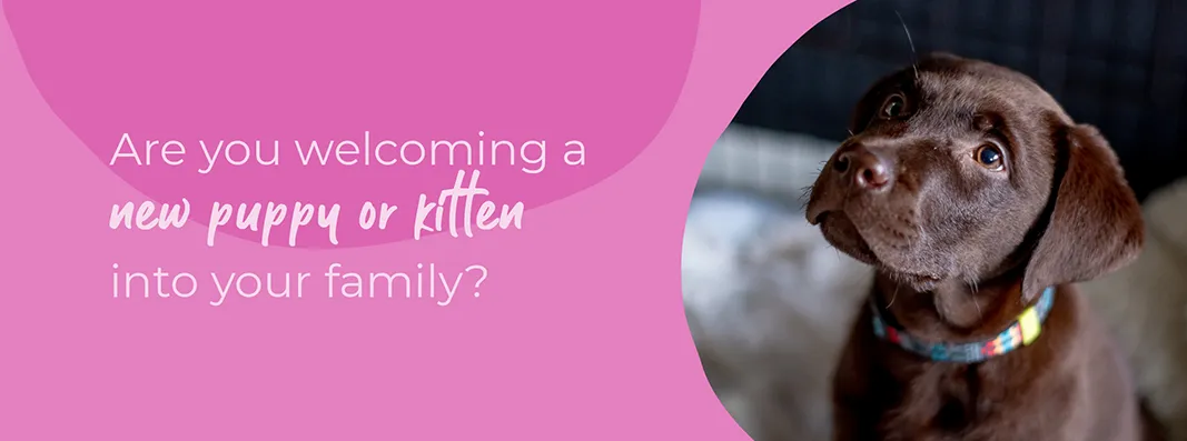 Welcoming your new puppy or kitten