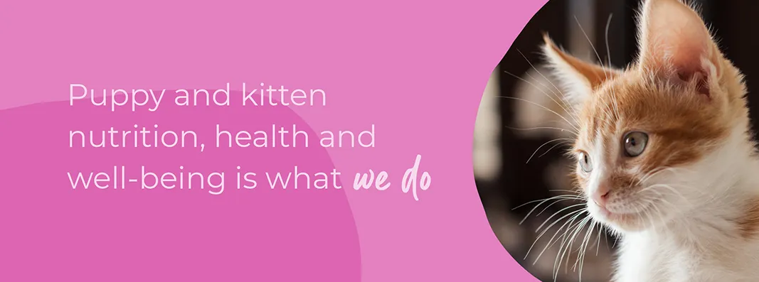 Welcoming your new puppy or kitten