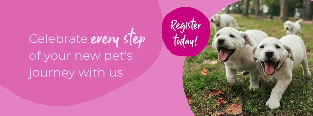 Welcoming your new puppy or kitten