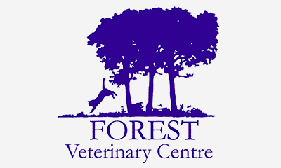 Forest Vets Easter Opening Hours
