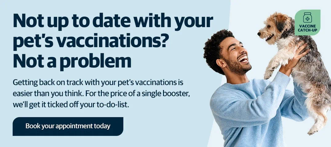 Forest Vets in Essex & London | Epping Vets | Harlow Vets