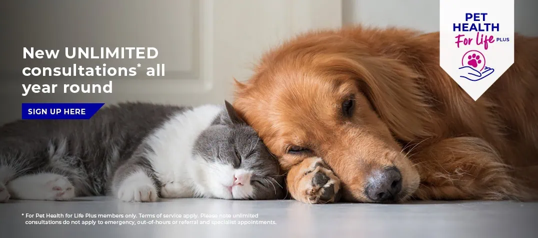 Forest Vets in Essex & London | Epping Vets | Harlow Vets