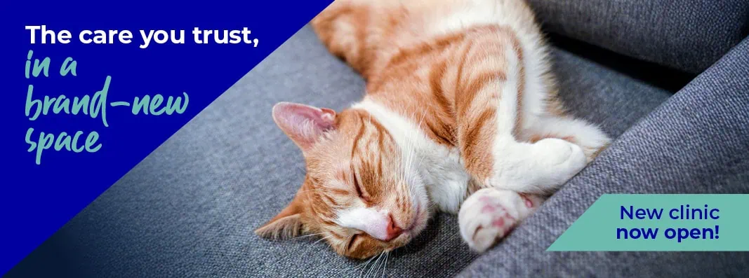 Forest Vets Harlow Branch