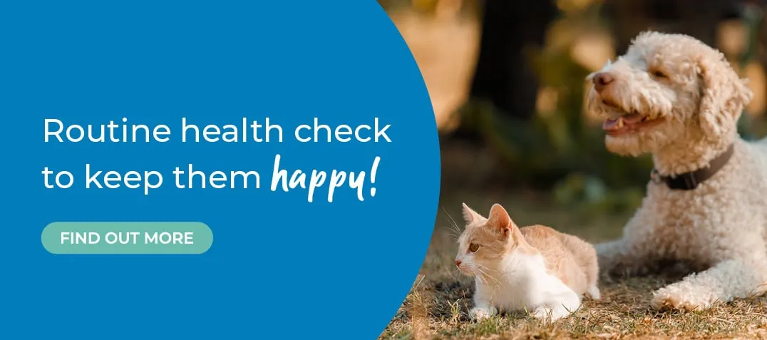 Forest Vets in Essex & London | Epping Vets | Harlow Vets