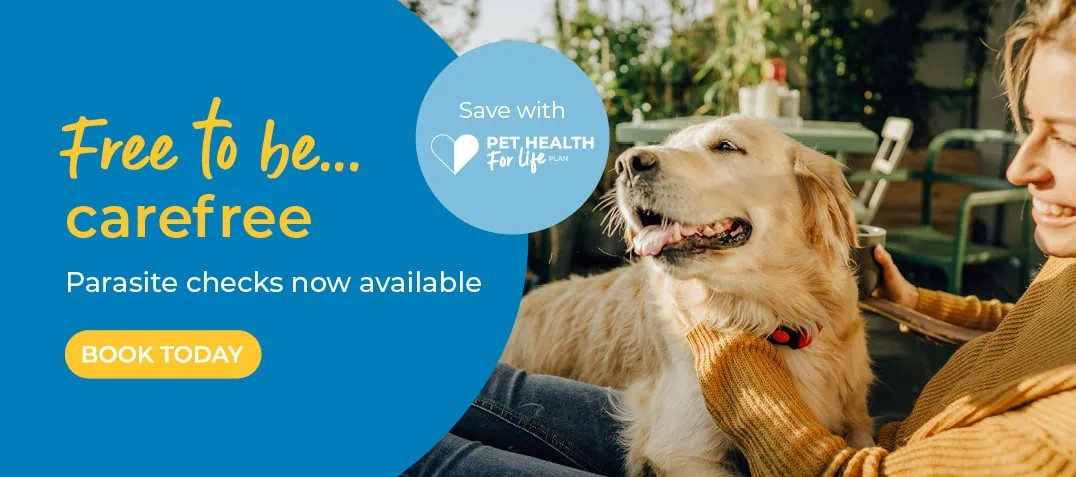 Forest Vets in Essex & London | Epping Vets | Harlow Vets