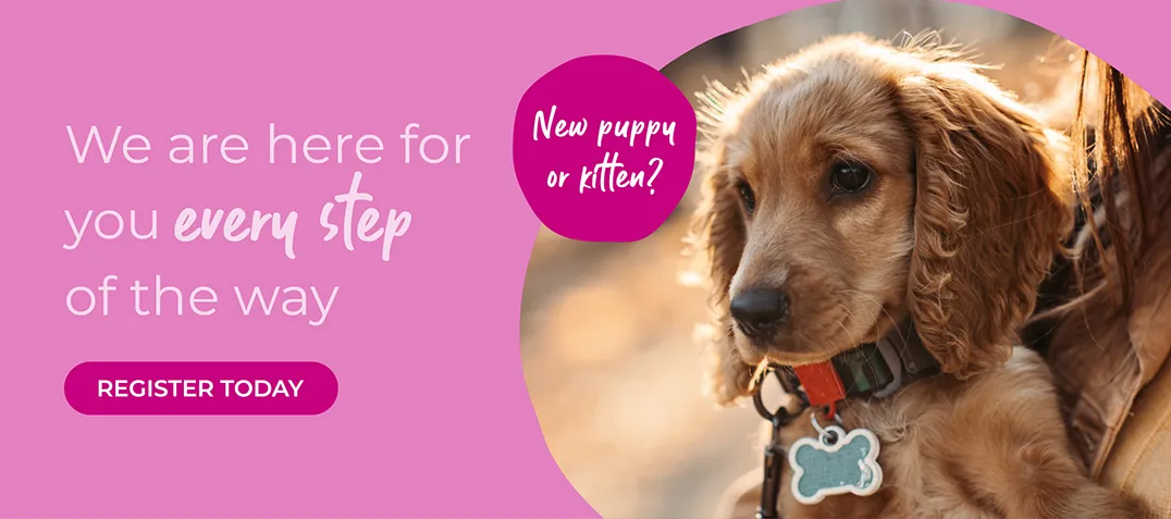 Forest Vets in Essex & London | Epping Vets | Harlow Vets