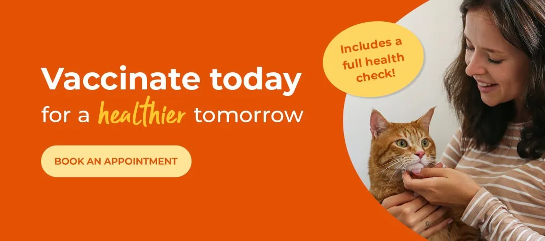 Forest Vets in Essex & London | Epping Vets | Harlow Vets